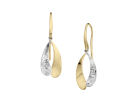 Dreamy Earring