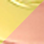 Rose Gold w/Yellow Gold posts